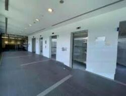 Bendemeer Road (D12), Office #473602471